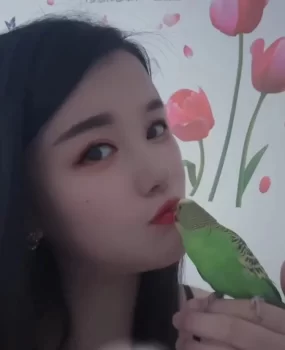 身材丰满的小姐姐