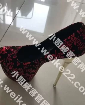 有缘再见熟妇姐姐头版